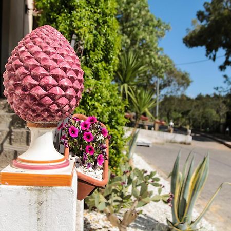 Agriturist Soleluna Caltagirone Bagian luar foto